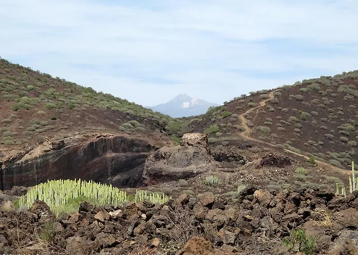 Sea Mountain In Atlantico 公寓 德尔锡伦西奥海岸