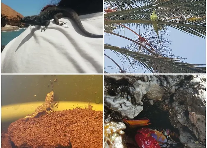 דירה Sea Mountain In Atlantico