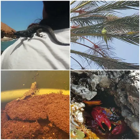 شقة Sea Mountain In Atlantico